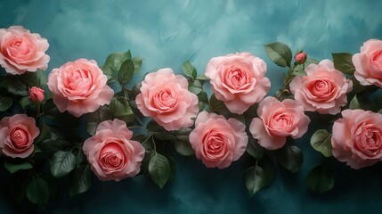Pink roses arrangement against textured teal background