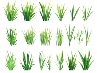 2408 59.A set of green grass illustrations in flat vector style, with a variety of blades arranged in neat rows. Each blade of grass is stylized and isolated on a white background, highlighting the