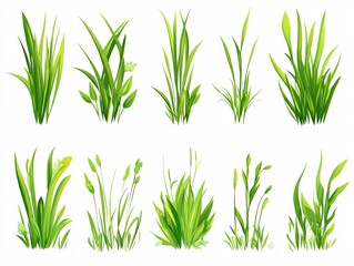 Fototapeta premium 2408 59.A set of green grass illustrations in flat vector style, with a variety of blades arranged in neat rows. Each blade of grass is stylized and isolated on a white background, highlighting the
