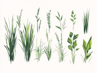 Obraz premium 2408 57.A set of vector illustrations showcasing different grass types, with each blade designed in a flat, minimalist style. The green grass stands tall and vibrant, forming a uniform pattern