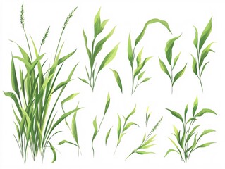 2408 60.A vector illustration featuring a set of green grass blades in flat style, with soft curves and sharp edges. The blades are arranged in different heights, forming a playful and dynamic