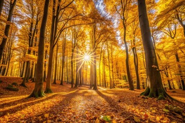 Obraz premium Stunning Panoramic View of Yellow Beech Leaves in the Fall for Nature Lovers and Photographers