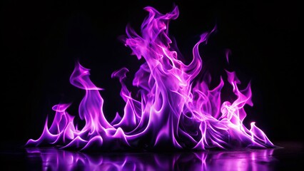 Fototapeta premium Stunning Purple Fire Flames Isolated on Black Background for Night Photography Enthusiasts