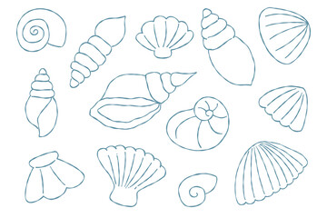 Set of hand drawn sea shell vector line art