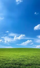 Obraz premium 56. An empty green field under a bright blue sky