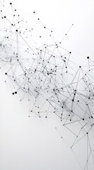 Obraz premium abstract black and white geometric line and dot network structure design