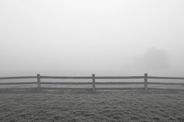 White Thick Fog Background in Nature