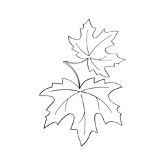 Continuous one line drawing of maple leaf. Maple leaves line art in autumn. Minimalist black linear sketch isolated on white background. Hand drawn vector illustration.