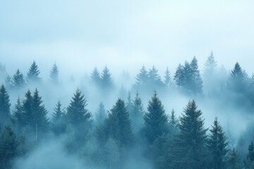 Fog Background in Nature