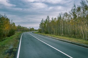 Naklejka premium A road with a few trees in the background