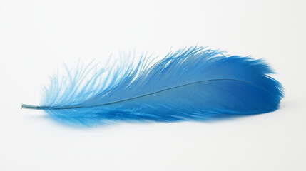 A bright blue feather lies on a white background. It has a soft, fluffy texture with detailed fibers, creating a sense of delicacy and lightness