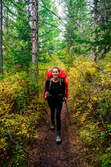 a tourist girl walks with a backpack through the autumn forest in the Altai mountains