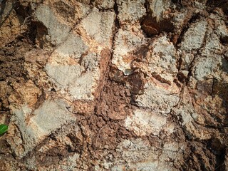 The dredged soil reveals rocks that are visible in the sun. Red and yellow rocks where the soil is dug. Cut soils - sandstone, stone, clay, structures and sand layers. 