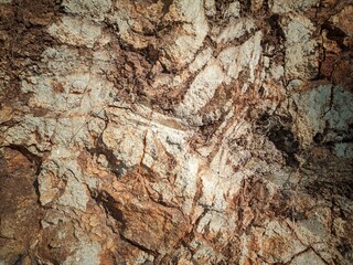 The dredged soil reveals rocks that are visible in the sun. Red and yellow rocks where the soil is dug. Cut soils - sandstone, stone, clay, structures and sand layers. 