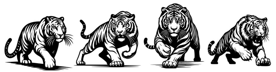 collection of fierce tigers in various prowling stances black vector