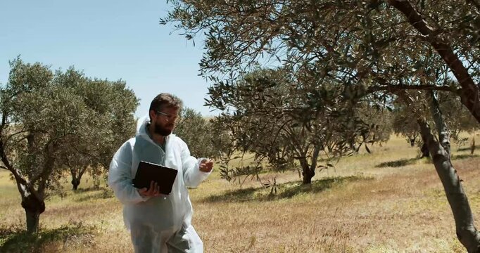 Olive Grove Inspection An InDepth Environmental Research Study Conducted in Nature
