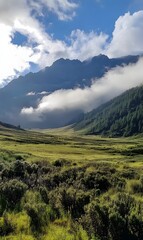Fototapeta premium 23. A serene mountain backdrop with soft clouds