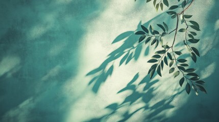 A serene composition featuring leaves casting shadows on a textured teal background.