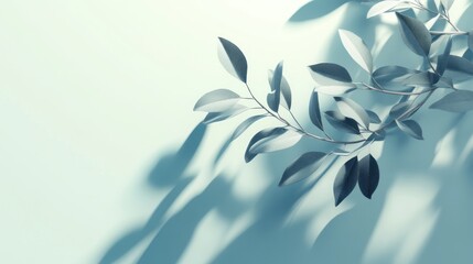A serene composition featuring a branch with leaves casting soft shadows on a light background.