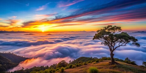 Naklejka premium Timelapse of Dawn Sky at Doi Pui Co Mountain with Sea of Clouds and Lonely Tree in Mae