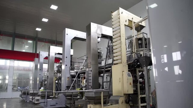 Close Up of food cake factory on an assembly line, automated Cookies on a Conveyor Belt Production Line in a Factory, ready for packaging and distribution.