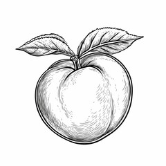Tattoo Design of Peach with Leaves: Intricate Engraving Style Illustration