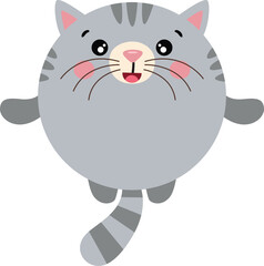 Cute cat with round body