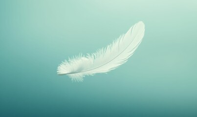 Obraz premium A single white feather floats against a teal background.
