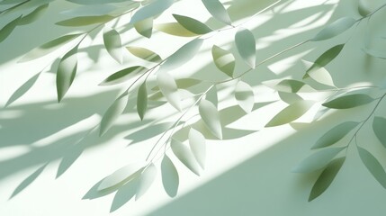 Delicate green leaves cast shadows on a light background, creating a serene atmosphere.