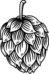 illustration of beer hop in engraving style. Design element for poster, label, sign, emblem, menu. Vector illustration