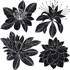 Obraz premium Tropical flowers and leaves. Vector exotic set, Black and white