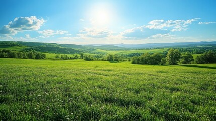Fototapeta premium Lush Green Countryside Landscape