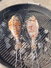 grilled fish on the grill