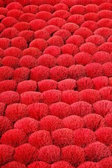 Weihrauchst&auml;bchen Vietnam