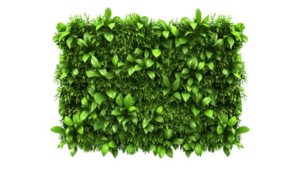 Naklejka premium A lush green wall of various leaves, ideal for decoration or environmental design.