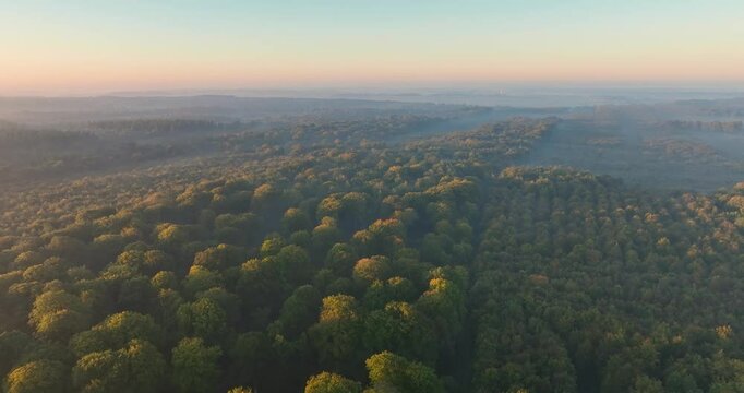 Vue a&eacute;rienne de la for&ecirc;t de Cr&eacute;cy