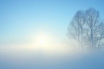 White Fog Background in Nature