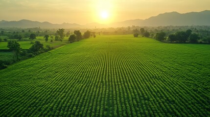 Majestic Sunrise Over Lush Green Fields