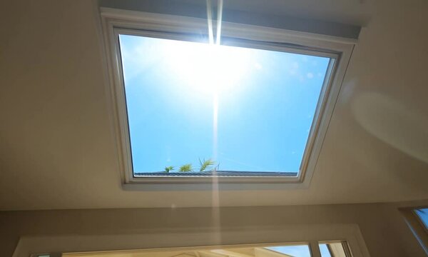 A view of the bright blue sky through a skylight in a home, with a flat roof and green plants growing on the roof.