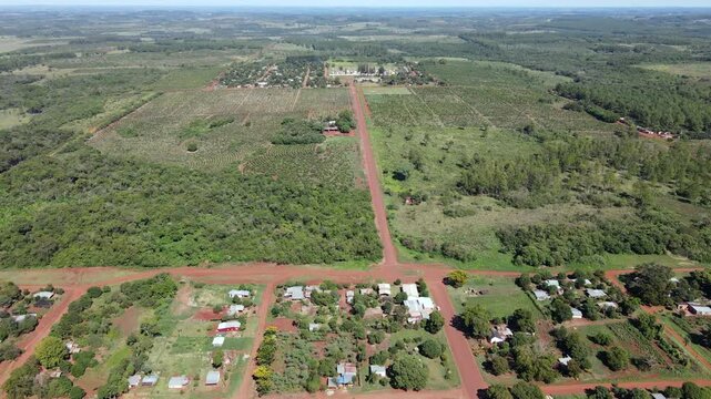 Aerial view of lush yerba mate plantations in Misiones, showcasing the vibrant green rows and the intricate patterns of cultivation.