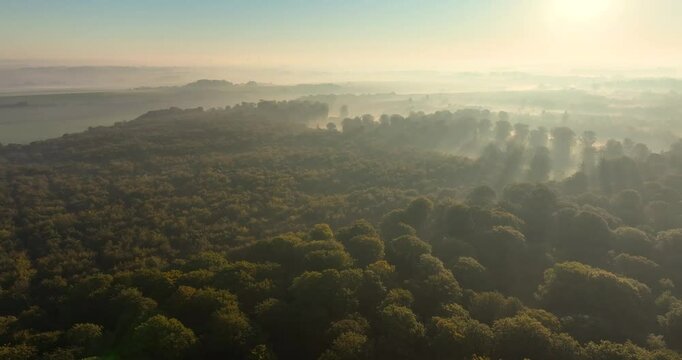 Vue a&eacute;rienne de la for&ecirc;t de Cr&eacute;cy