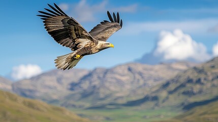 A majestic bird of prey soars gracefully over a stunning mountainous landscape, showcasing its powerful wings and sharp features.