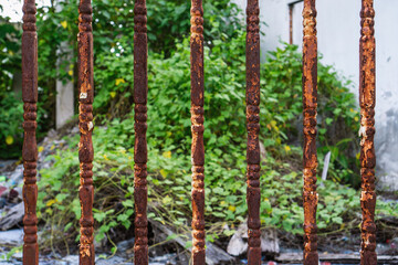 Close-Up of Rusty Metal Fence with Overgrown Vegetation