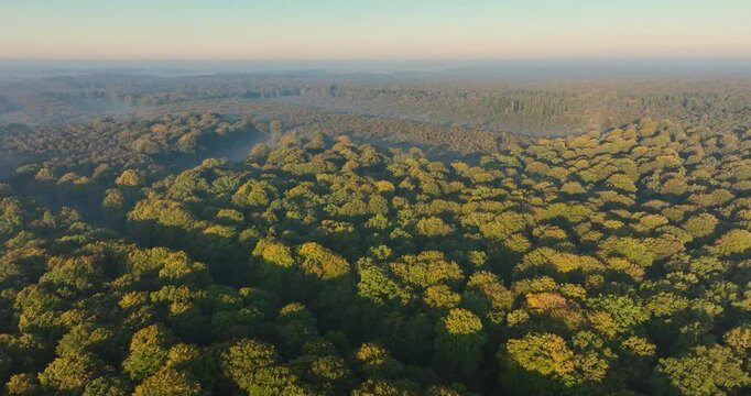 Vue a&eacute;rienne de la for&ecirc;t de Cr&eacute;cy