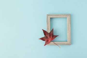 Maple leaf on picture frame on pastel blue background. Autumn leaf idea.