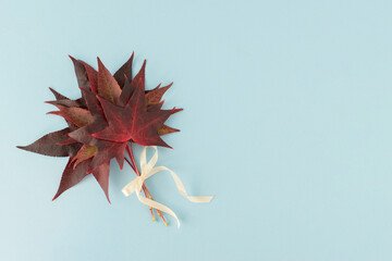 Creative idea made of maple leaves with white ribbon bow on a pastel blue background. Minimal fall autumn foliage concept.