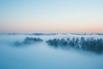 Fototapeta premium Fog Background in Nature
