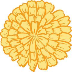 Marigold Flower SVG