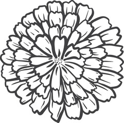 Marigold Flower Outline hand-drawn svg