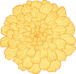 Marigold Flower SVG